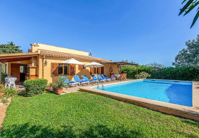 Villa in Pollensa / Pollença - Villa Almadrava